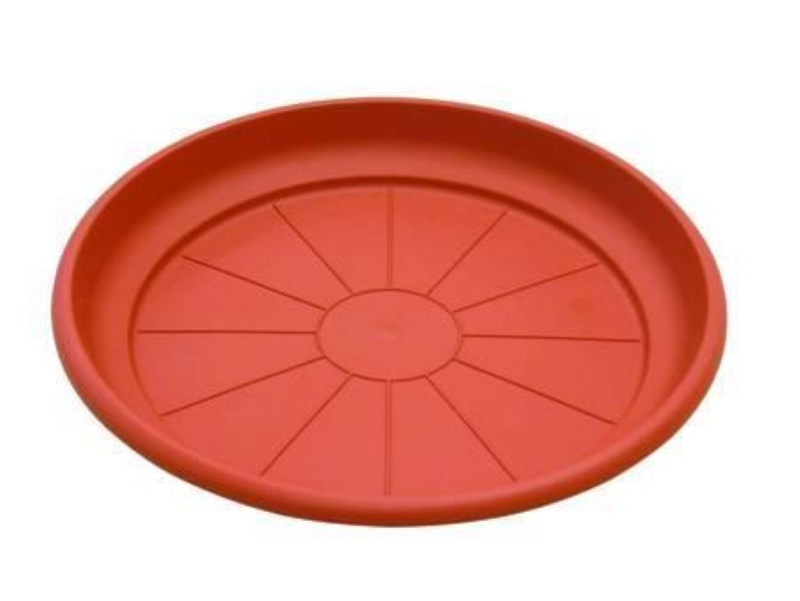 SOTTOVASO ERICA CM.16x2.6h.