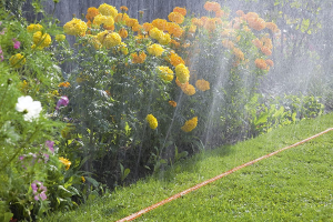 TUBO IRRIGATORE MT.7.5 GETTO NEBULIZZATO - (995-20)