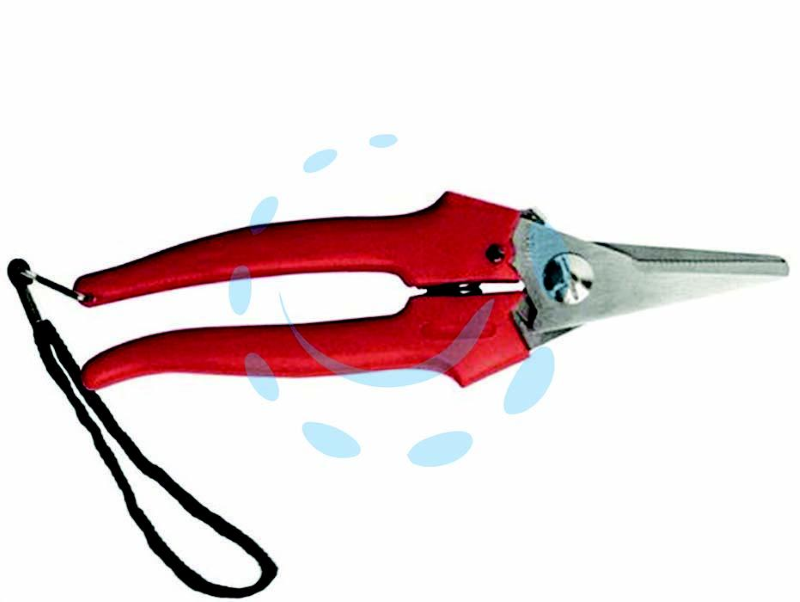 FORBICE PER RACCOLTA LAMA LUNGA IN ACCIAIO INOX - cm.19