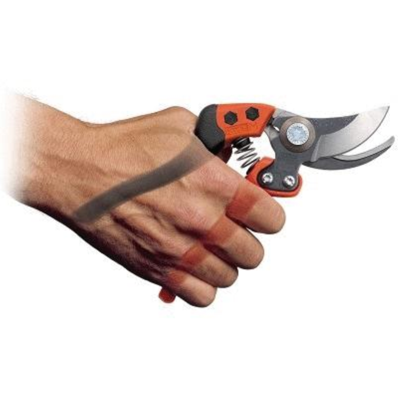 FORBICE PER POTARE PROFESSIONALE PX - cm.20 (PX-M2)