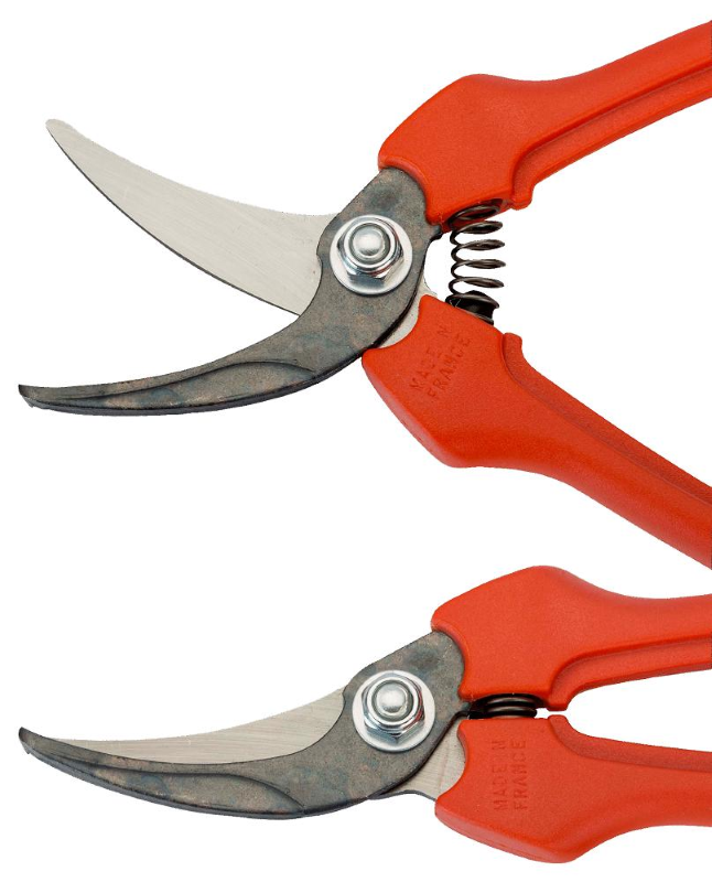 FORBICE PER RACCOLTA P 123 - cm.19 (P123-19)