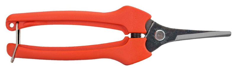 FORBICE PER RACCOLTA P 128 - cm.19 (P128-19)