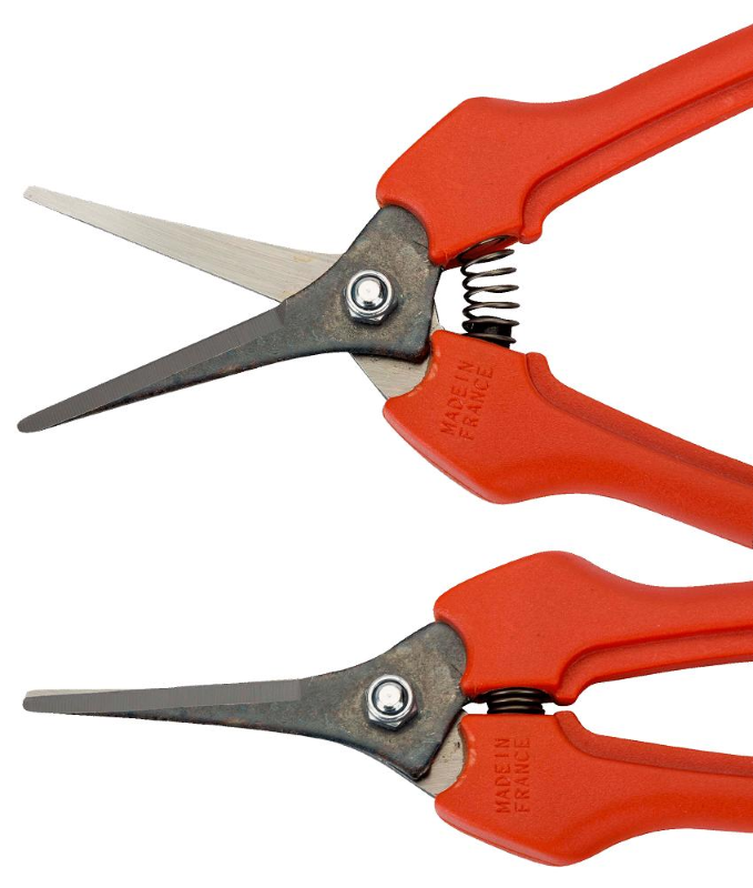 FORBICE PER RACCOLTA P 128 - cm.19 (P128-19)