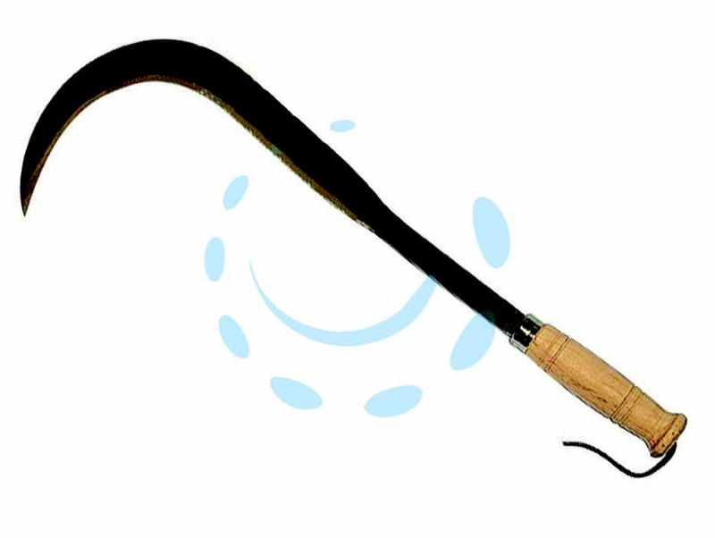 RONCOLA SFRATTAROLA CON MANICO LEGNO