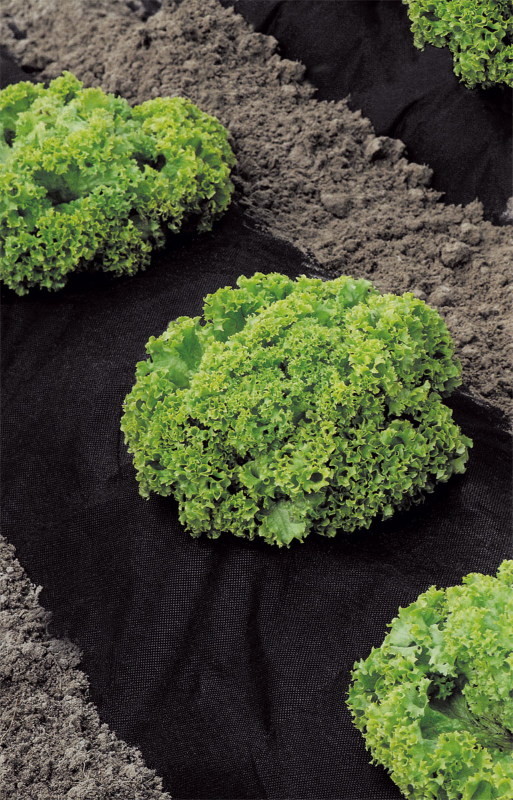 TELO PACCIAMATURA TNT NERO MT.2X10 G.50 STOCKER