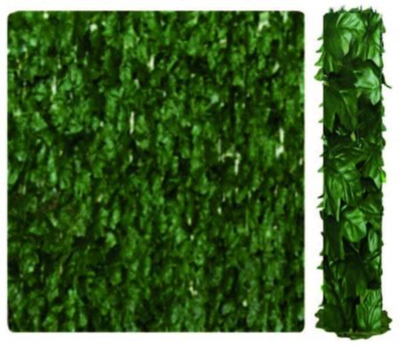 SIEPE SEMPREVERDE EDERA MT.1X3 T-REX