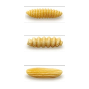 ACCESSORIO MILLEGNOCCHI PER MACCHINA PASTA IMPERIA