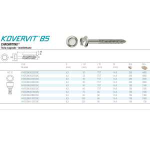TIRAFONDI PER METALLO TESTA ESAGONO KOVERVIT BS CHROMITING - mm.6,3x100