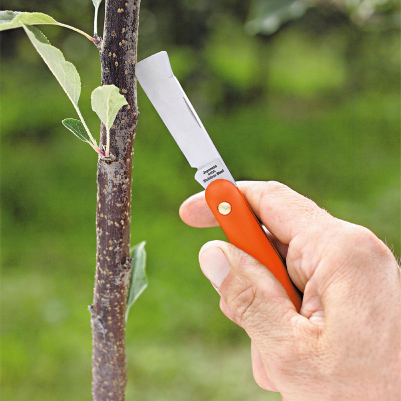 COLTELLO DA INNESTO MM.55 STOCKER