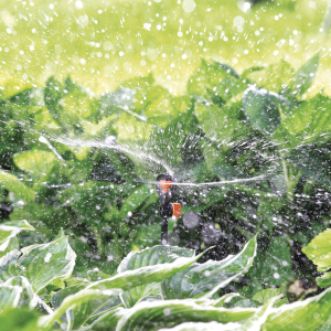 MICROIRRIGATORE 360° FARFALLA PZ.5 CLABER 91250