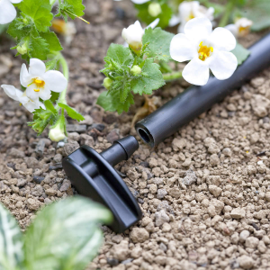 TAPPO PER MICROIRRIGAZIONE CAPILLARE IN BLISTER 91170