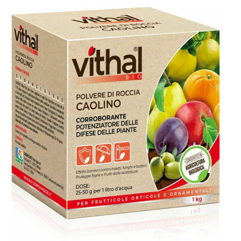 CONCIME INTEGRATORE POLVERE DI ROCCIA CAOLINO VITHAL BIO -  KG.1