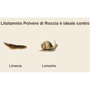 ANTILUMACA LITOTAMNIO POLVERE DI ROCCIA IL MIO ORTO BIO -  KG.1