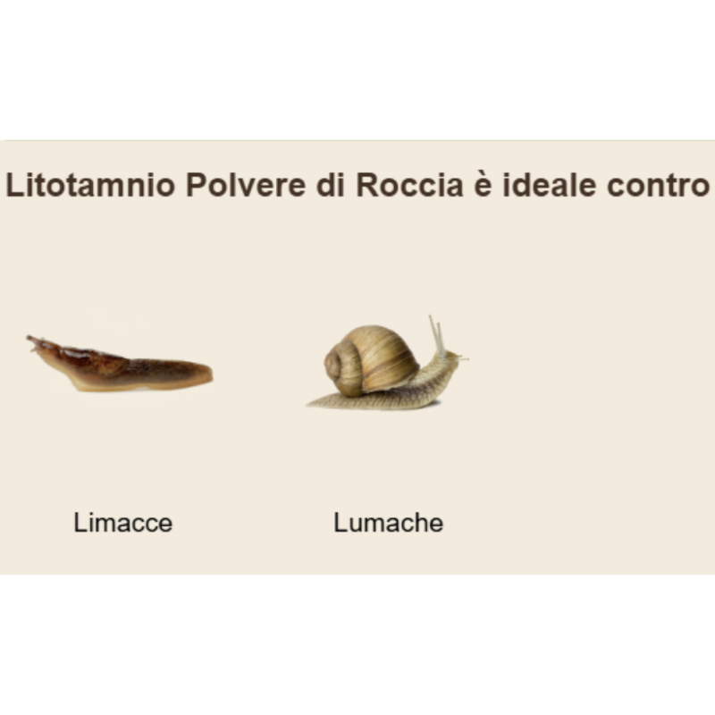 ANTILUMACA LITOTAMNIO POLVERE DI ROCCIA IL MIO ORTO BIO -  KG.1