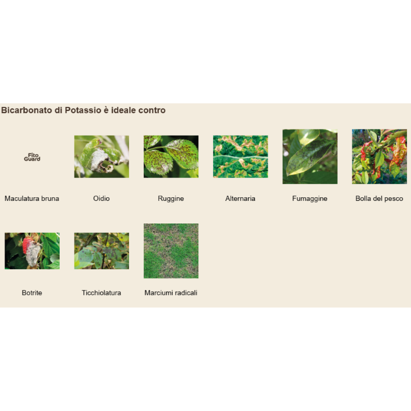 BICARBONATO DI POTASSIO IL MIO ORTO BIO - KG.1
