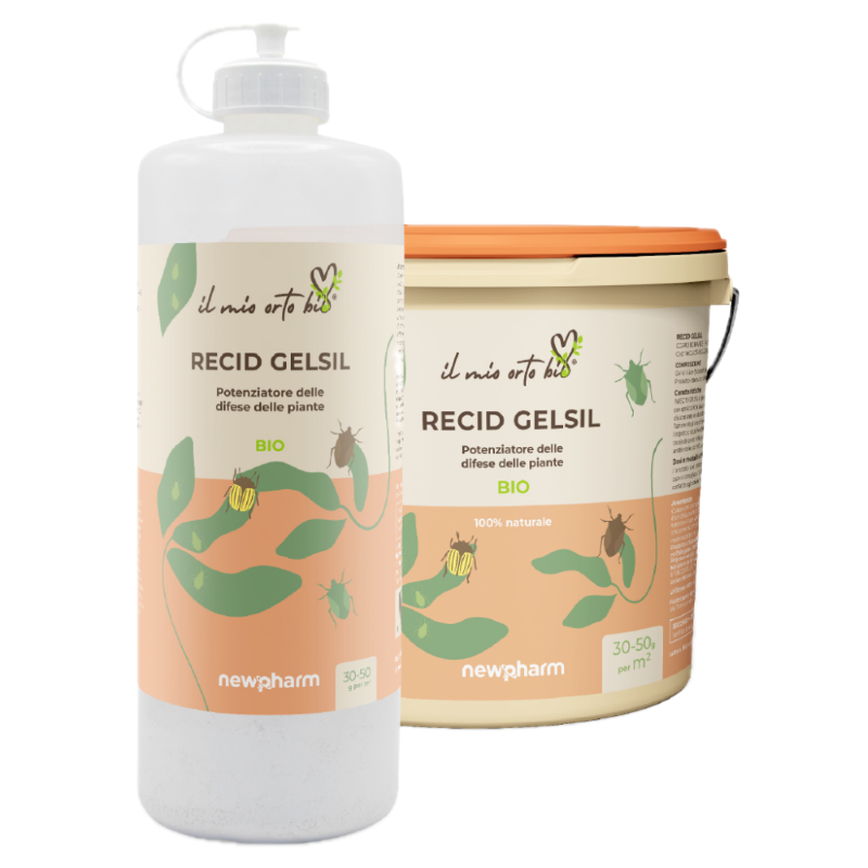 INSETTICIDA NATURALE POLVERE RECID GELSIL IL MIO ORTO BIO - KG.1