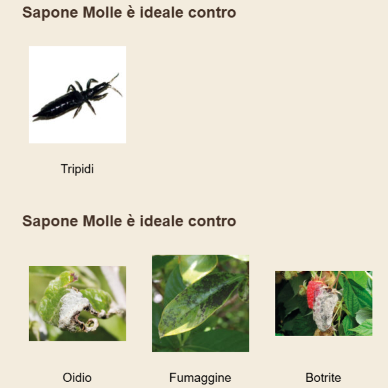POTENZIATORE DELLE DIFESE NATURALI SAPONE MOLLE IL MIO ORTO BIO - ML.200
