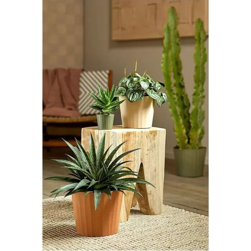 VASO PER FIORI SOENDGEN UMEA BARISTA BEIGE - CM.13