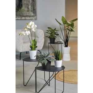 VASO PER FIORI SOENDGEN UMEA BARISTA BIANCO - CM.13